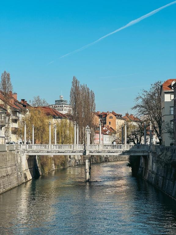Pirc Apartment Ljubljana – fotografija 16